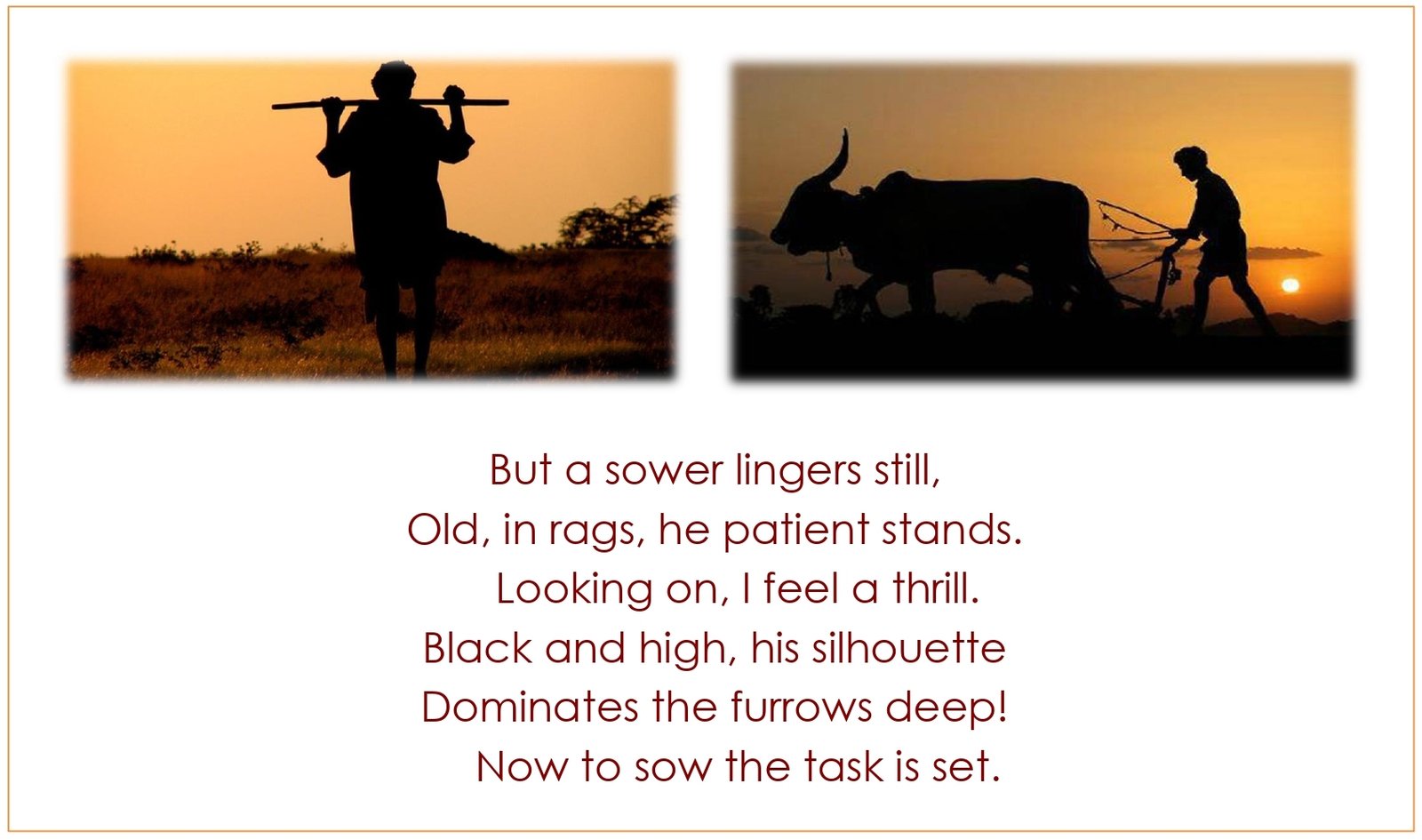 Std.11=Poem-THE SOWER-A Pictorial Presentation 2_page-0004