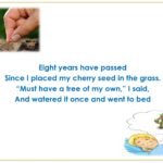 Std.11=Poem-CHERRY TREE-A Pictorial Presentation2_page-0006